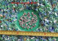 Maquila separacion de pet plasticos de metales